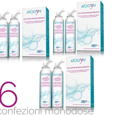 Atogyn 6 confezioni